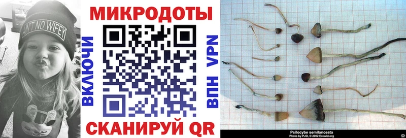 Купить где  Яранск  Псилоцибиновые грибы MAGIC MUSHROOMS 